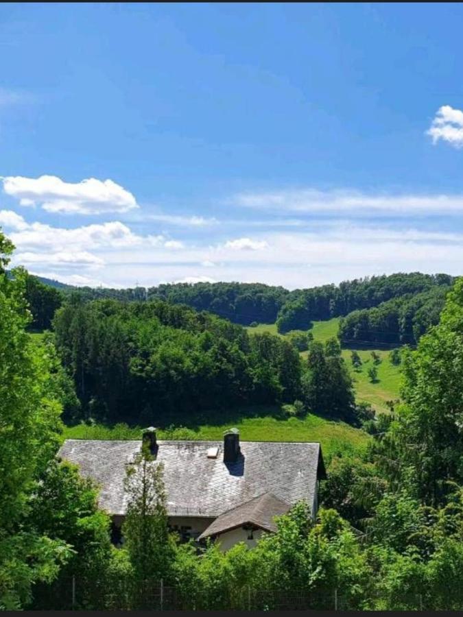 Odenwald-Lodge Mit Infrarotsauna Und E-Ladestation Im Naturpark Odenwald "Haus Himmelblau" Reichelsheim Extérieur photo