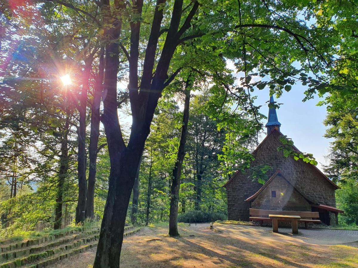 Odenwald-Lodge Mit Infrarotsauna Und E-Ladestation Im Naturpark Odenwald "Haus Himmelblau" Reichelsheim Extérieur photo