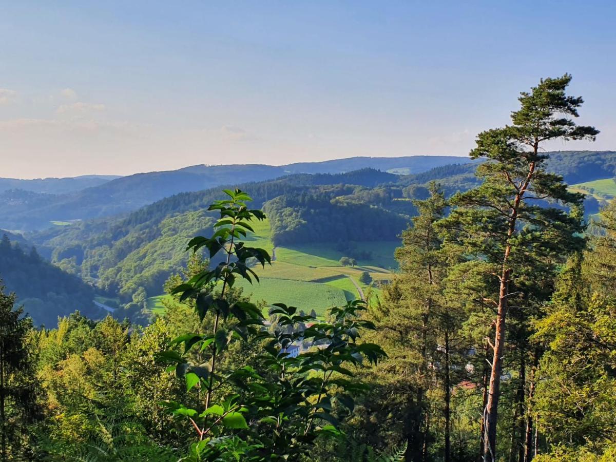 Odenwald-Lodge Mit Infrarotsauna Und E-Ladestation Im Naturpark Odenwald "Haus Himmelblau" Reichelsheim Extérieur photo
