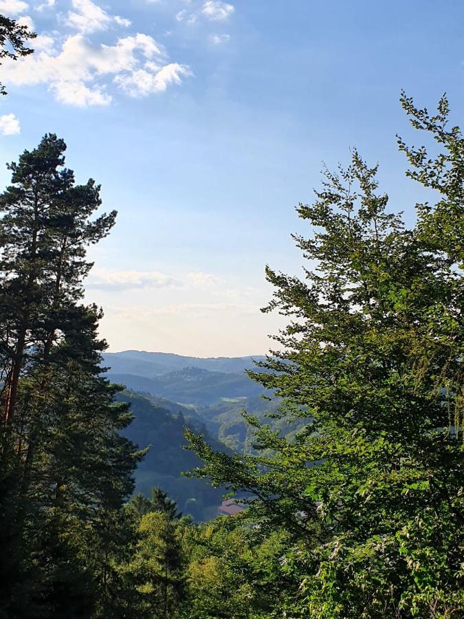 Odenwald-Lodge Mit Infrarotsauna Und E-Ladestation Im Naturpark Odenwald "Haus Himmelblau" Reichelsheim Extérieur photo