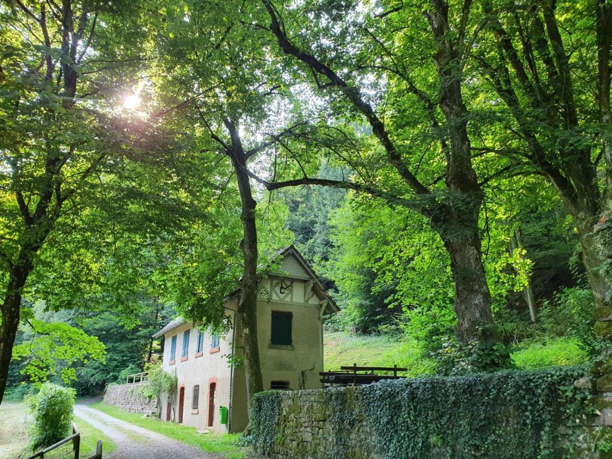 Odenwald-Lodge Mit Infrarotsauna Und E-Ladestation Im Naturpark Odenwald "Haus Himmelblau" Reichelsheim Extérieur photo