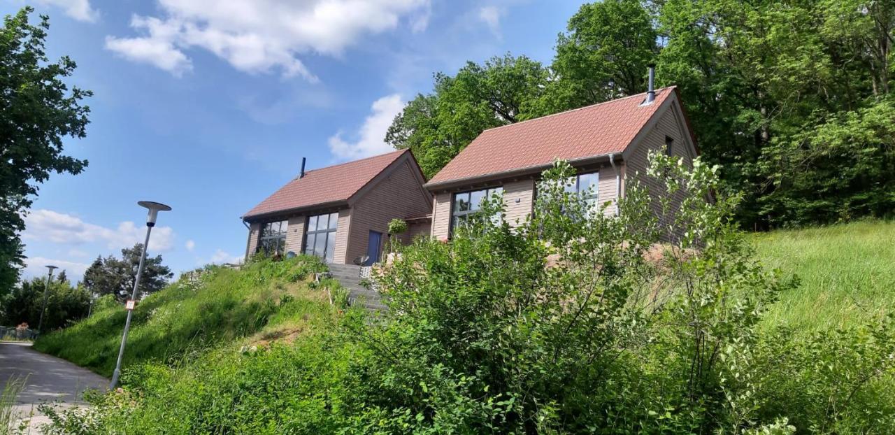Odenwald-Lodge Mit Infrarotsauna Und E-Ladestation Im Naturpark Odenwald "Haus Himmelblau" Reichelsheim Extérieur photo